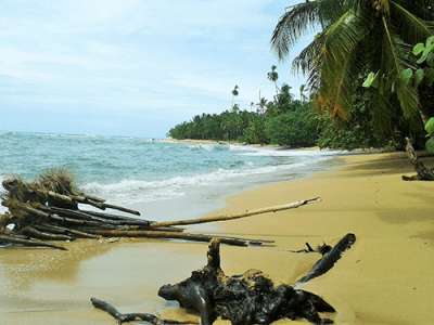 Caribbean beach in Costa Rica